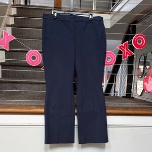 J. Crew Navy Blue Pants